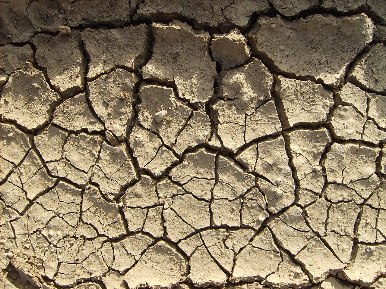 Prévoir les sécheresses et les inondations, est-ce possible ?